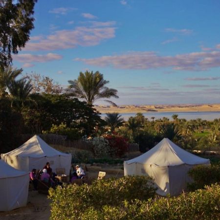 Tunis Village El-Al Fayyūm Dış mekan fotoğraf
