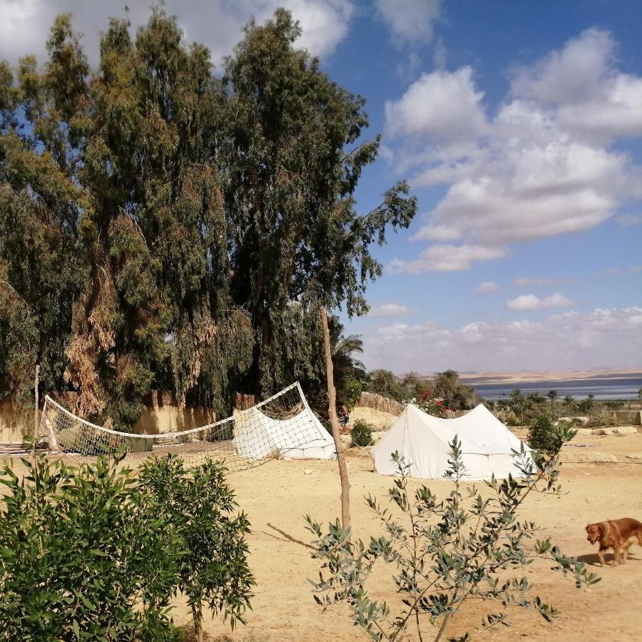 Tunis Village El-Al Fayyūm Oda fotoğraf